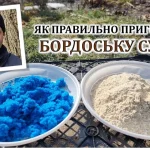 Бордоська суміш для винограду: повний посібник з приготування, точного застосування та сучасних альтернатив