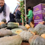 Де можна здати гарбузи в Україні: повний гід з вибору каналів, підготовки та максимізації прибутку у 2026 році