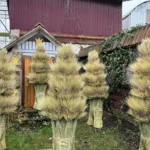 Дідух — давній символ роду та врожаю в українському Різдві