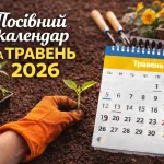 Посівний календар на травень 2026: сприятливі дні та секрети багатого врожаю