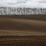 Рілля це: виорана основа українського хліба — від народної мудрості до точних технологій