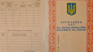 shcho-robyty-iakshcho-zahubyly-derzhavnyi-akt-na-zemliu-chitkyi-alhorytm-vidnovl-a562
