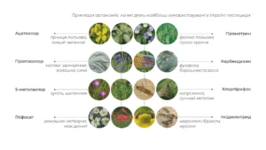 minahropolityky-kliuchovyi-orhan-ahrarnoi-polityky-ukrainy-u-2026-rotsi-33c1