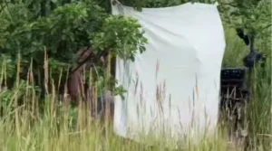 У Трускавці оштрафують відпочивальників за російську музику на пляжі