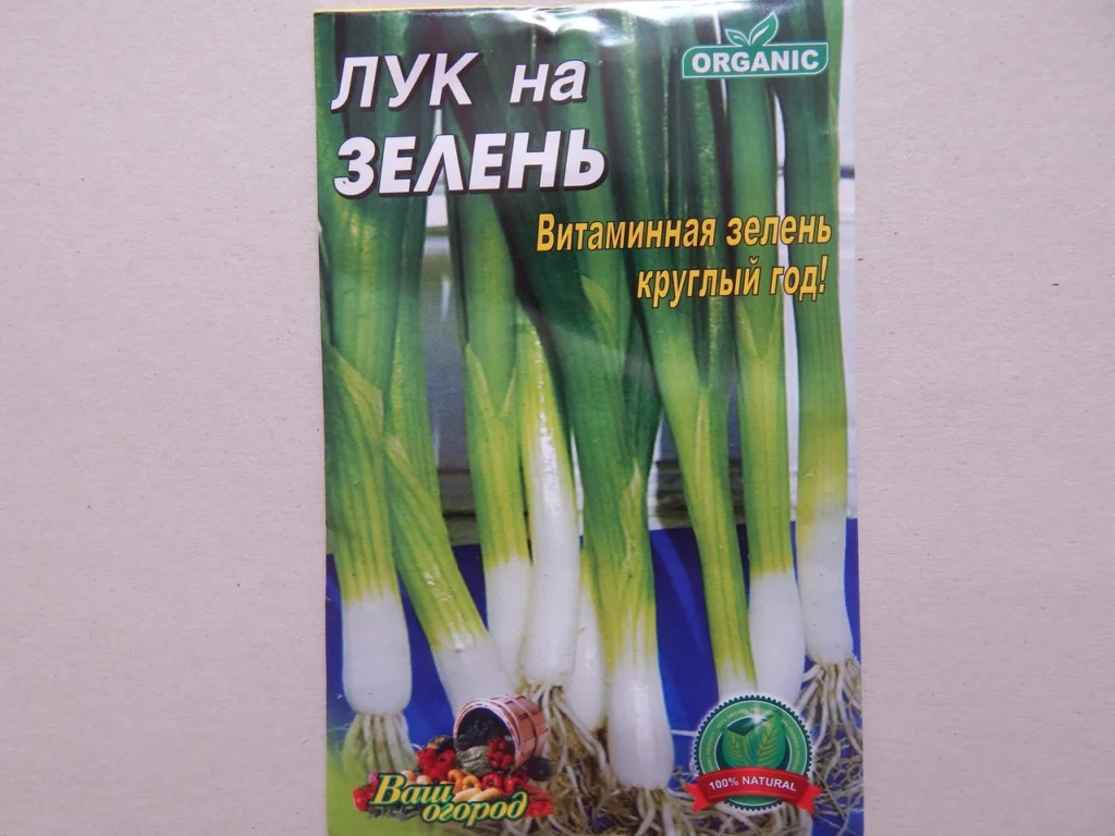 zelena-tsybulia-povnyi-hid-z-vyroshchuvannia-do-kulinarnykh-sekretiv-0765