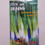 Зелена цибуля: повний гід з вирощування до кулінарних секретів