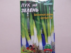 zelena-tsybulia-povnyi-hid-z-vyroshchuvannia-do-kulinarnykh-sekretiv-0765